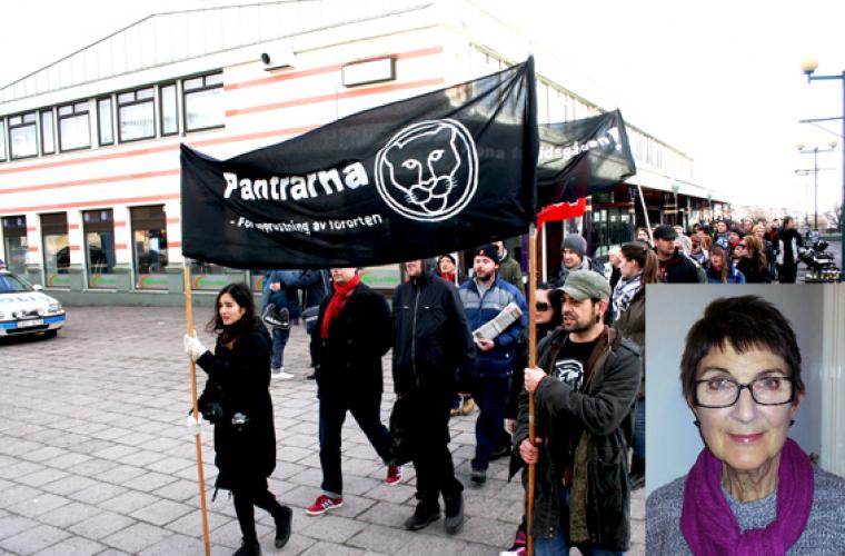 Bild från Pantrarnas demonstration för en fritidsgård år 2011.
